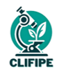 clifipe
