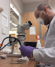 Profile picture for user Herbert Álvaro Abreu de Siqueira